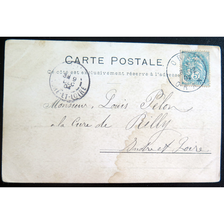 Carte postale militaire de Méharis sahariens de l'extrême sudoranais 1904