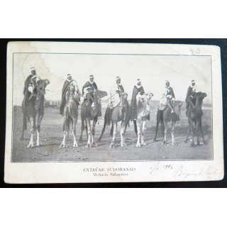 Carte postale militaire de Méharis sahariens de l'extrême sudoranais 1904