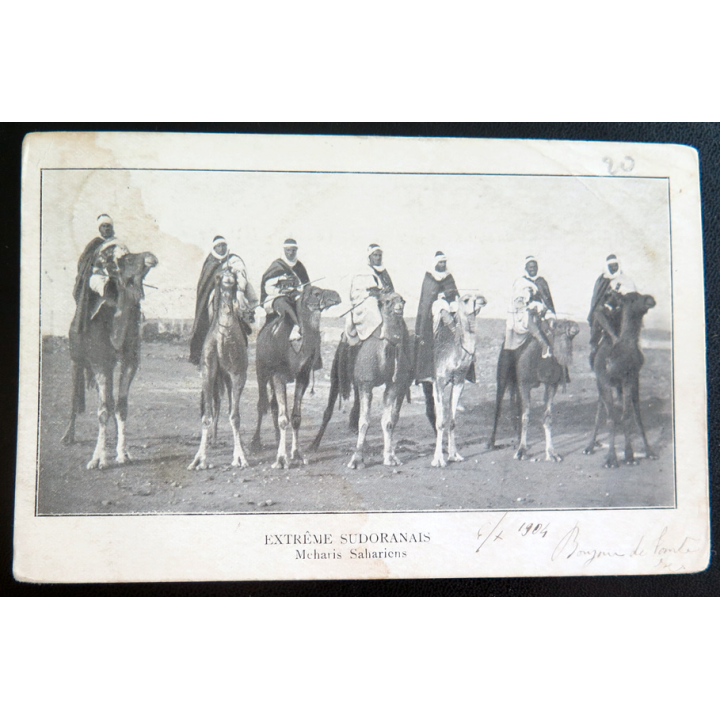 Carte postale militaire de Méharis sahariens de l'extrême sudoranais 1904