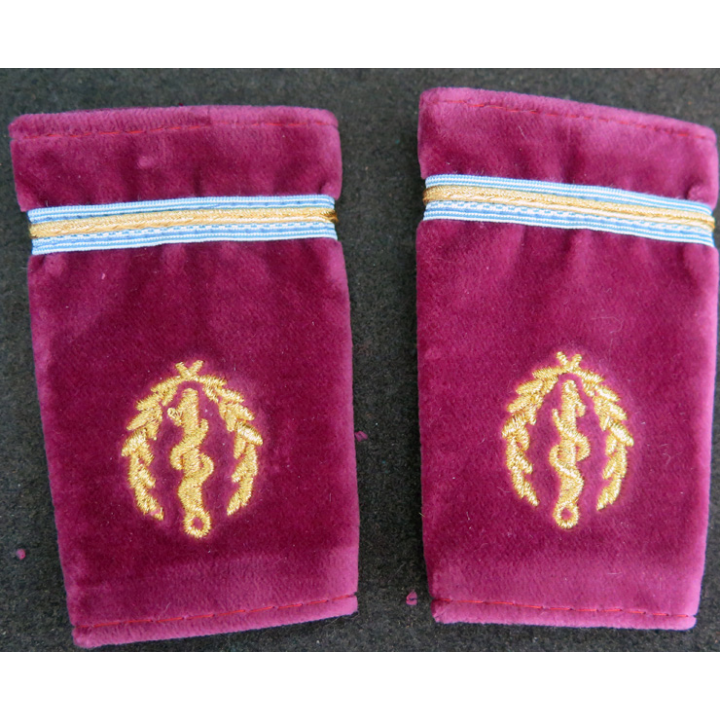 Vieille paire de fourreaux de MITHA Militaires Infirmiers et Techniciens des Hôpitaux des Armées (or) sur velours amarante