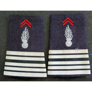 Paire de fourreaux de Colonel de pompiers