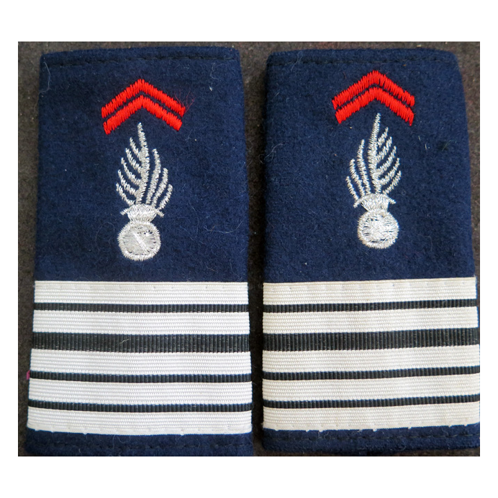 Paire de fourreaux de Colonel de pompiers