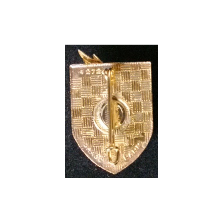 52° DMT : 52° DIVISION MILITAIRE TERRITORIALE ÉMAIL BORDURE NOIRE