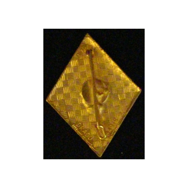 4° REI : 4° RÉGIMENT ÉTRANGER D'INFANTERIE 3°CIE CAMERONE ÉMAIL SANS RÉCIT (R75)