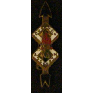 3° REI : 3° RÉGIMENT ÉTRANGER D'INF 2° BON 8°CIE (ÉCLATS ÉMAIL)