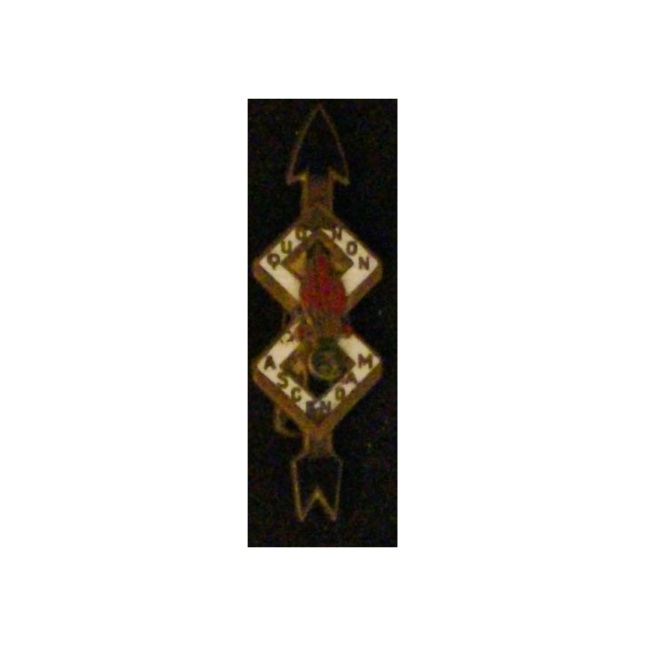 3° REI : 3° RÉGIMENT ÉTRANGER D'INF 2° BON 8°CIE (ÉCLATS ÉMAIL)