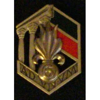 6° REI : 6° RÉGIMENT ÉTRANGER D'INFANTERIE (D R 85)