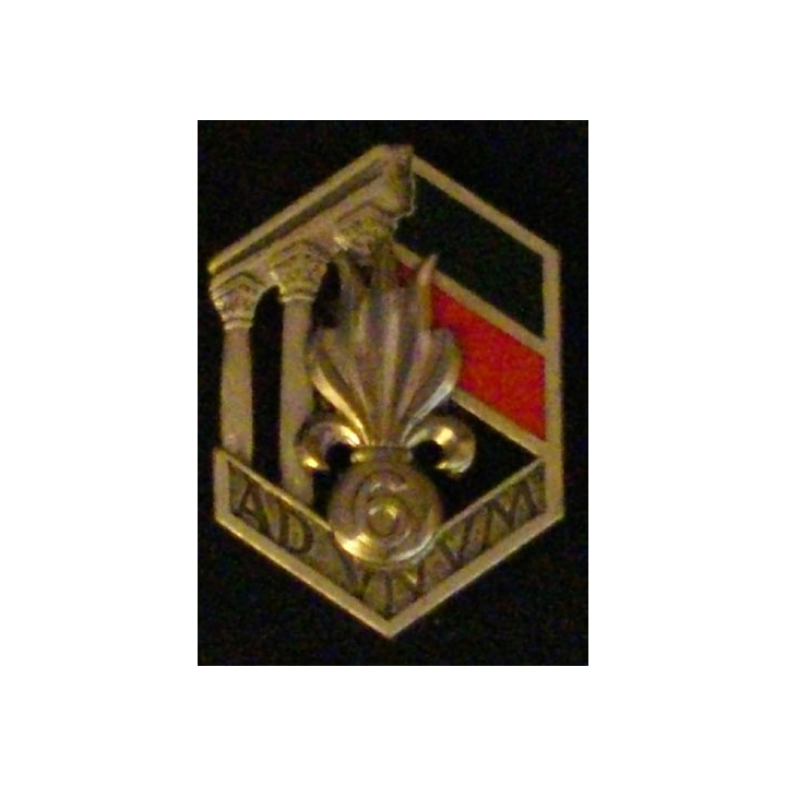 6° REI : 6° RÉGIMENT ÉTRANGER D'INFANTERIE (D R 85)