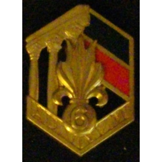 6° REI : 6° RÉGIMENT ÉTRANGER D'INFANTERIE DORÉ (D R 85)