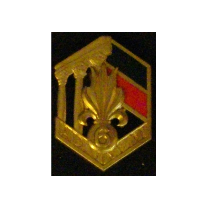 6° REI : 6° RÉGIMENT ÉTRANGER D'INFANTERIE DORÉ (D R 85)