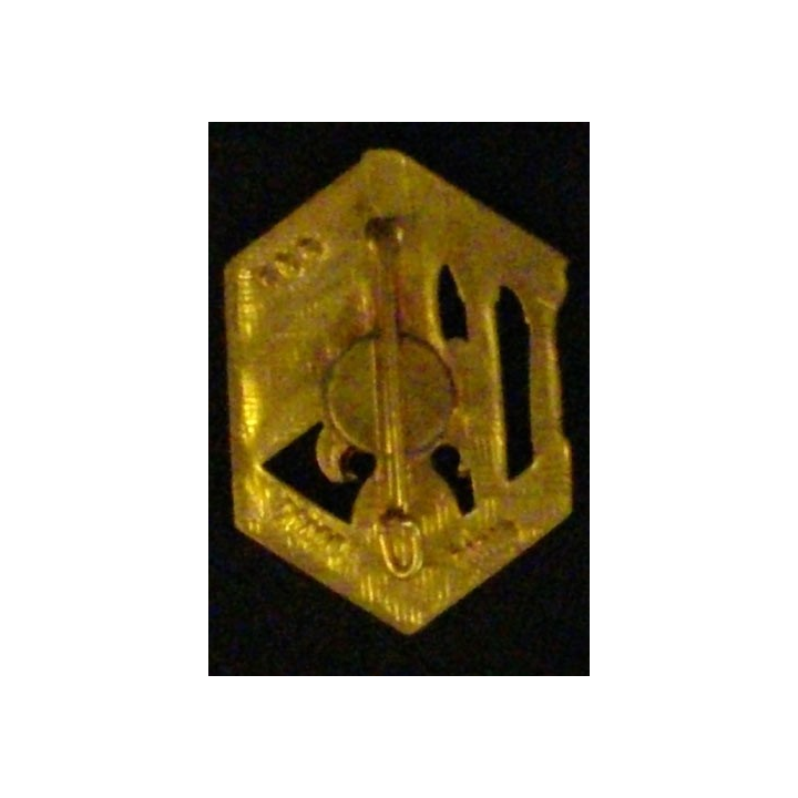 6° REI : 6° RÉGIMENT ÉTRANGER D'INFANTERIE DORÉ (D R 85)