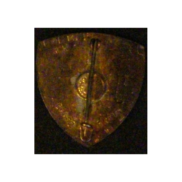 5° REI : 5° RÉGIMENT ÉTRANGER D'INF BATAILLON DE MARCHE ( D R 75)