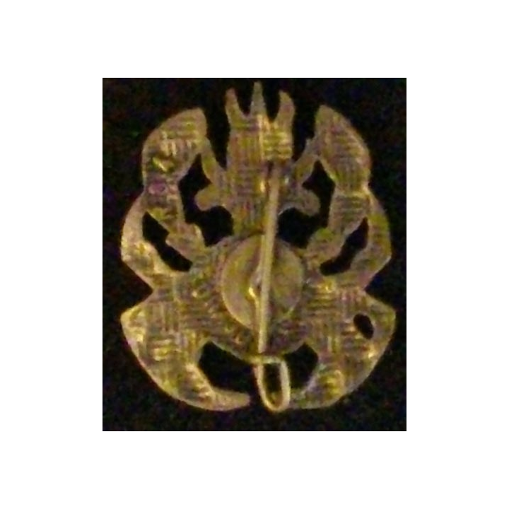 1° REC : 1° RÉGIMENT ÉTRANGER DE CAVALERIE 1°GA 27 mm (R 84)