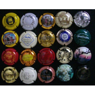 LOT DE 20 MUSELETS N°1