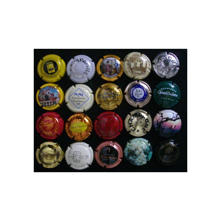 LOT DE 20 MUSELETS N°1
