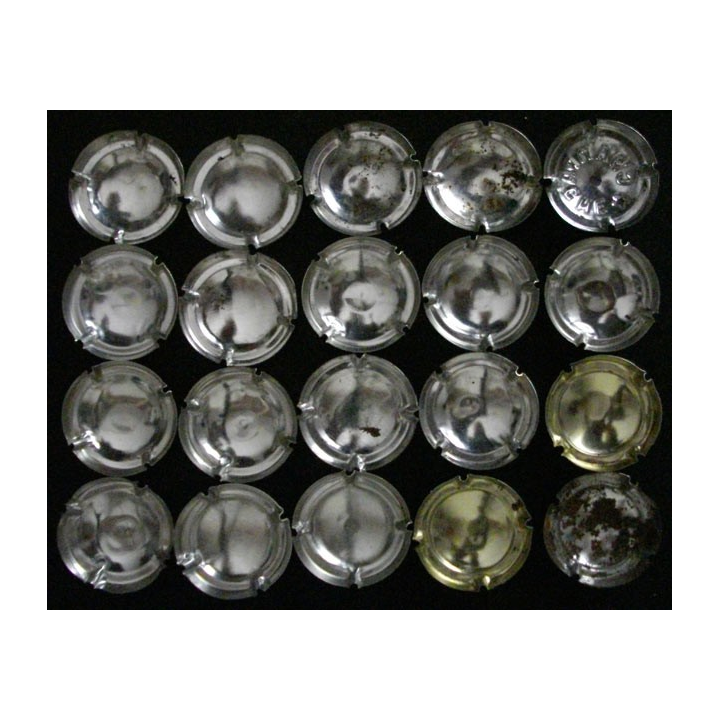 LOT DE 20 MUSELETS N°1