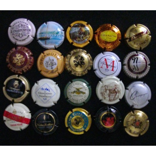 LOT DE 20 MUSELETS N°5