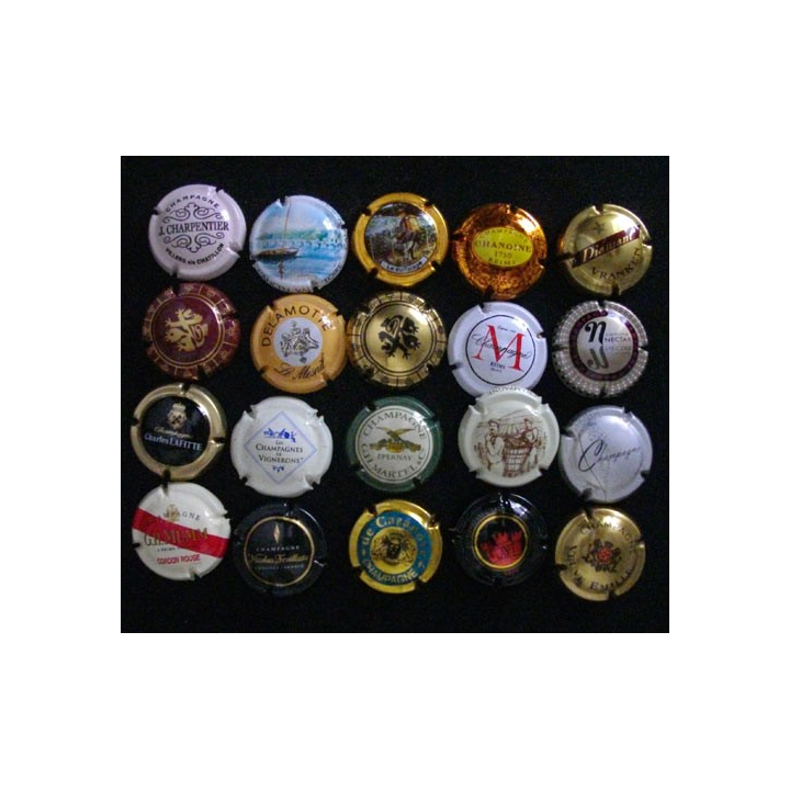 LOT DE 20 MUSELETS N°5