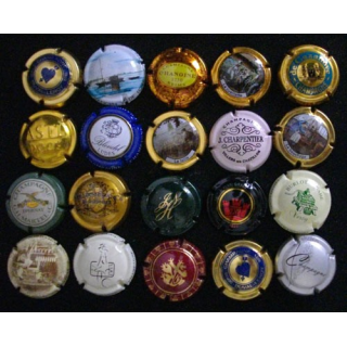 LOT DE 20 MUSELETS N°6