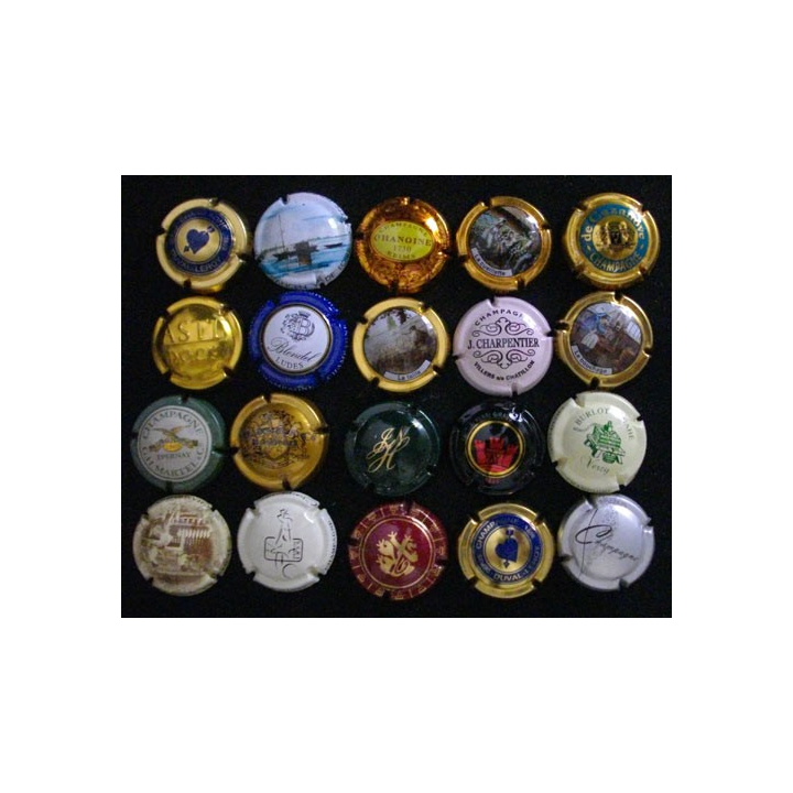 LOT DE 20 MUSELETS N°6