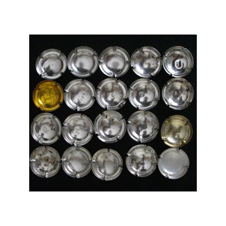 LOT DE 20 MUSELETS N°6