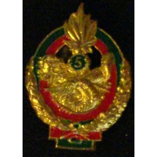 5° REI : 5° RÉGIMENT ÉTRANGER D'INFANTERIE (D R 94)