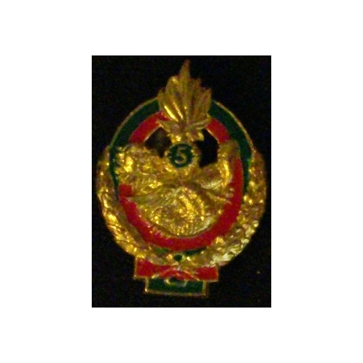 5° REI : 5° RÉGIMENT ÉTRANGER D'INFANTERIE (D R 94)