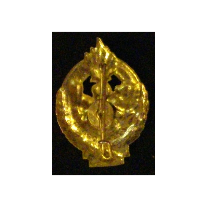 5° REI : 5° RÉGIMENT ÉTRANGER D'INFANTERIE (D R 94)