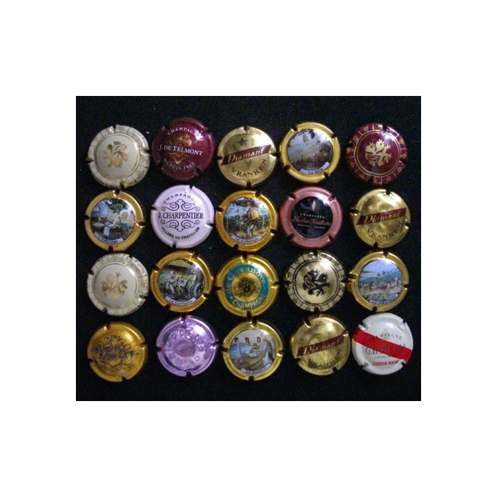 LOT DE 20 MUSELETS N°9