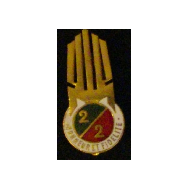 2° REI : 2° RÉGIMENT ÉTRANGER D'INFANTERIE 2°BATAILLON SYRIE ÉMAIL