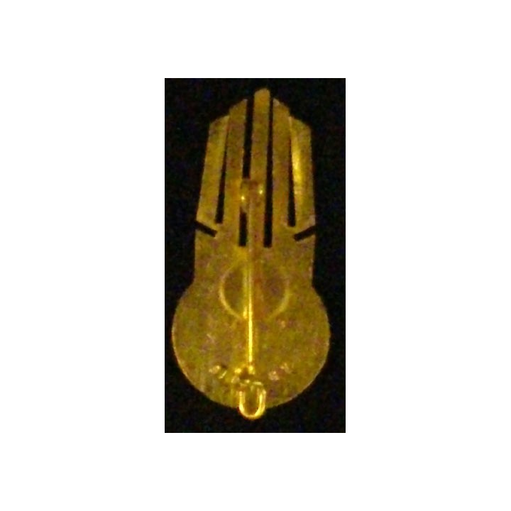 2° REI : 2° RÉGIMENT ÉTRANGER D'INFANTERIE 2°BATAILLON SYRIE ÉMAIL