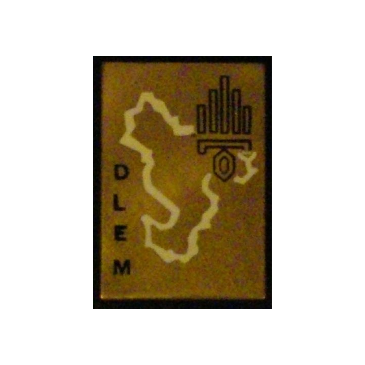 DLEM : DÉTACHEMENT DE LÉGION ÉTRANGÈRE MAYOTTE (D 2488)
