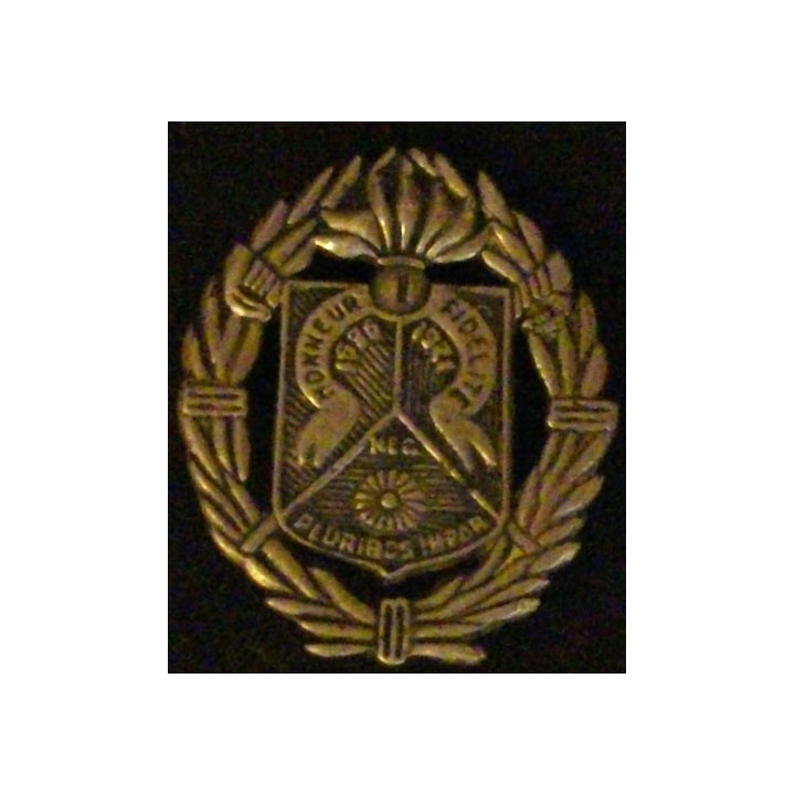 1° REC : 1° RGT ÉTRANGER CAVALERIE INS BÉRET EO GRENADE A 7 BRANCH