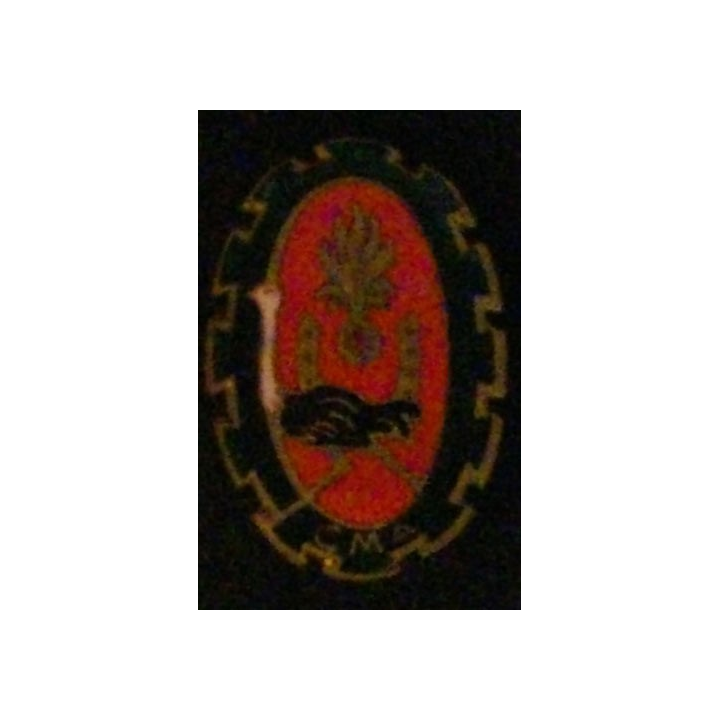 4° REI : 4° RÉGIMENT ÉTRANGER D'INFANTERIE CMA COU ROSE (ABPD)