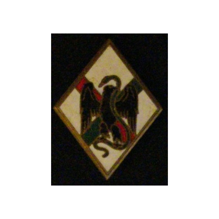 1° REI : insigne du 1° régiment étranger d'infanterie Publideal G 1198