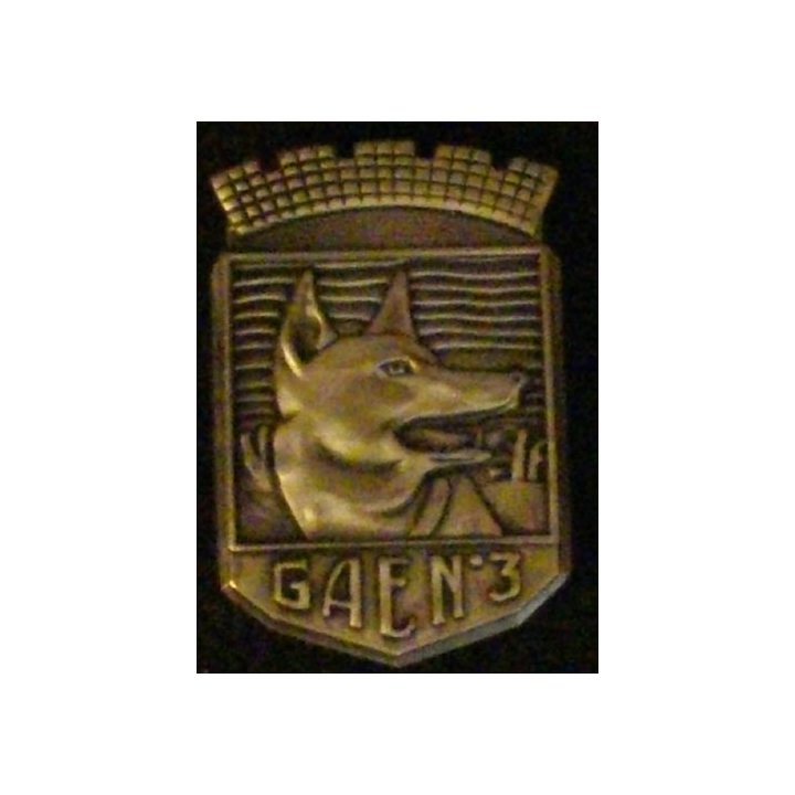GAE 3 : GROUPE AUXILIAIRES ÉTRANGER N°3 (DESTRÉE)
