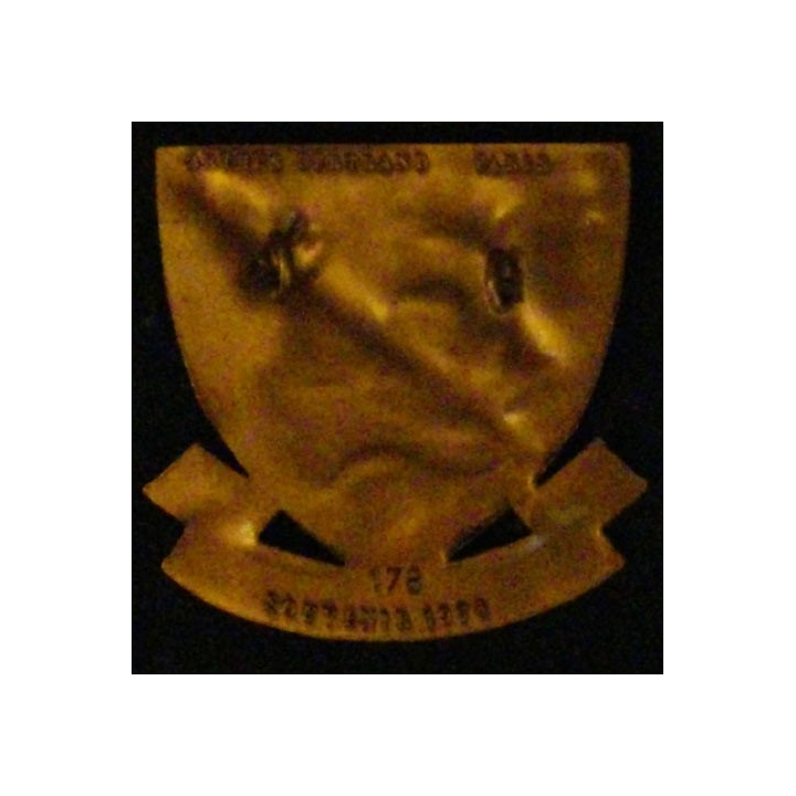 1°BFM : 1°BATAILLON DE FUSILIERS MARINS COMMANDOS N°178 (1974)
