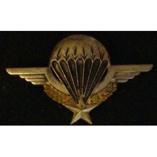 BREVET PARA : BREVET PARACHUTISTE (SANS)