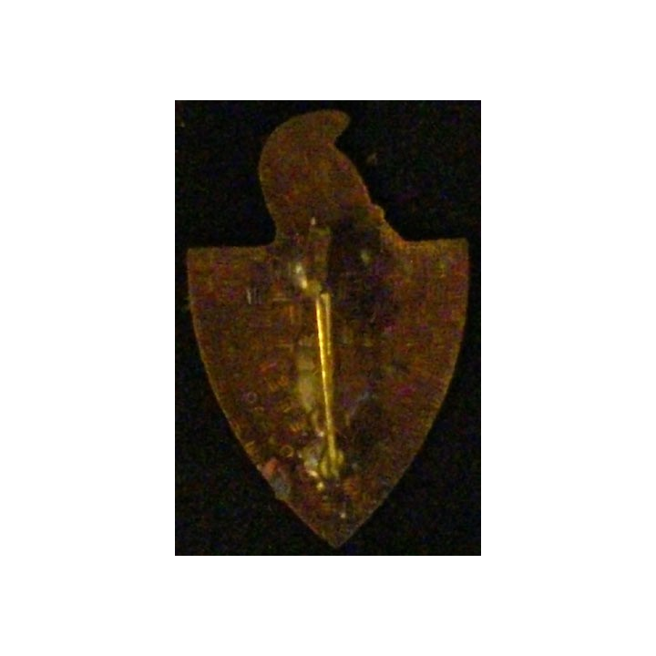 7°RG : 7°RÉGIMENT DU GÉNIE (D 214) ÉMAIL ATTACHE COLLÉE