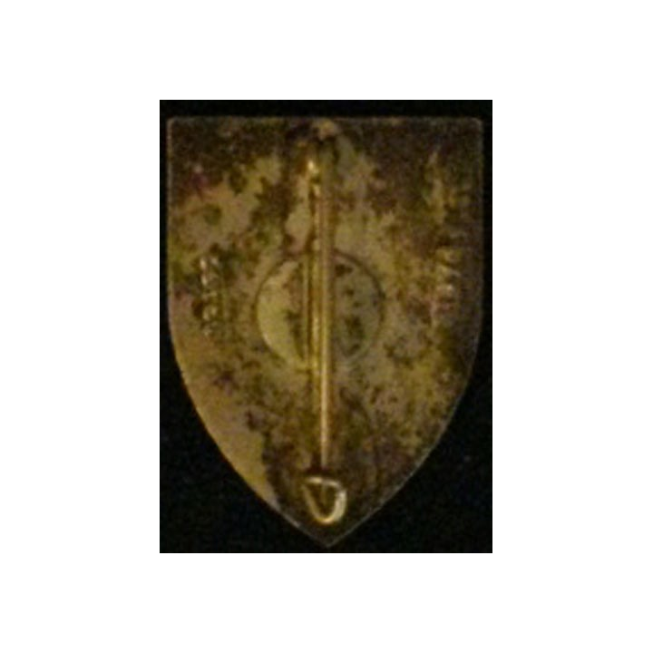 41° RI : 41° RÉGIMENT D'INFANTERIE (DRAGO) ÉMAIL