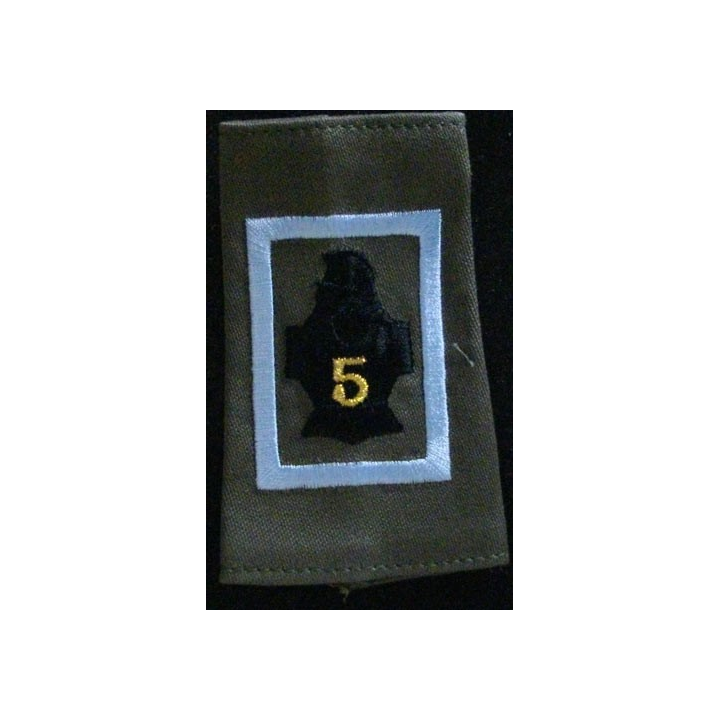 Fourreau de combat de la compagnie d'instruction bleu clair du 5° régiment du génie