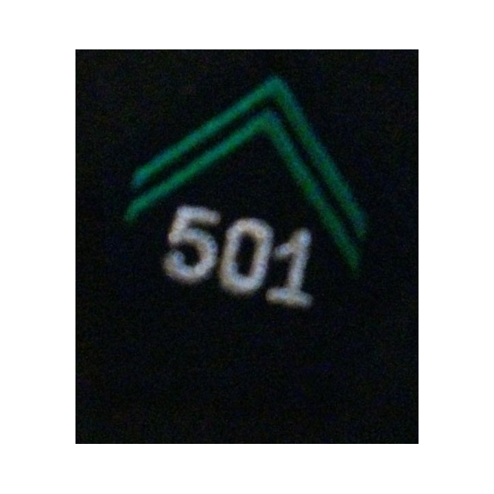 SOUTACHE 501° RCC RÉGIMENT DE CHARS DE COMBAT