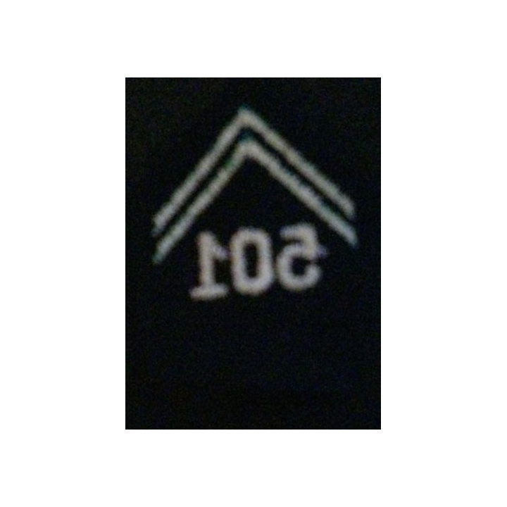 SOUTACHE 501° RCC RÉGIMENT DE CHARS DE COMBAT