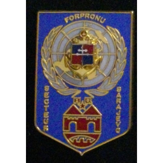 9° DIMA : 9° DIVISION D'INFANTERIE DE MARINE FORPRONU 4°MANDAT