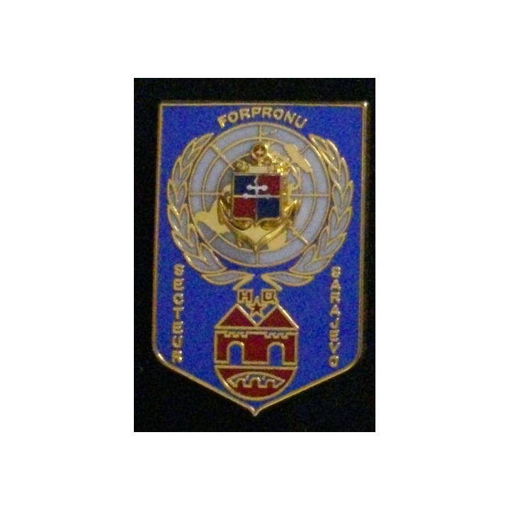 9° DIMA : 9° DIVISION D'INFANTERIE DE MARINE FORPRONU 4°MANDAT