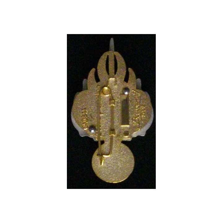 PROMOTION GENDARMERIE : MDL/C CAPOCCELLO ARLECCHINI 24°PROMO