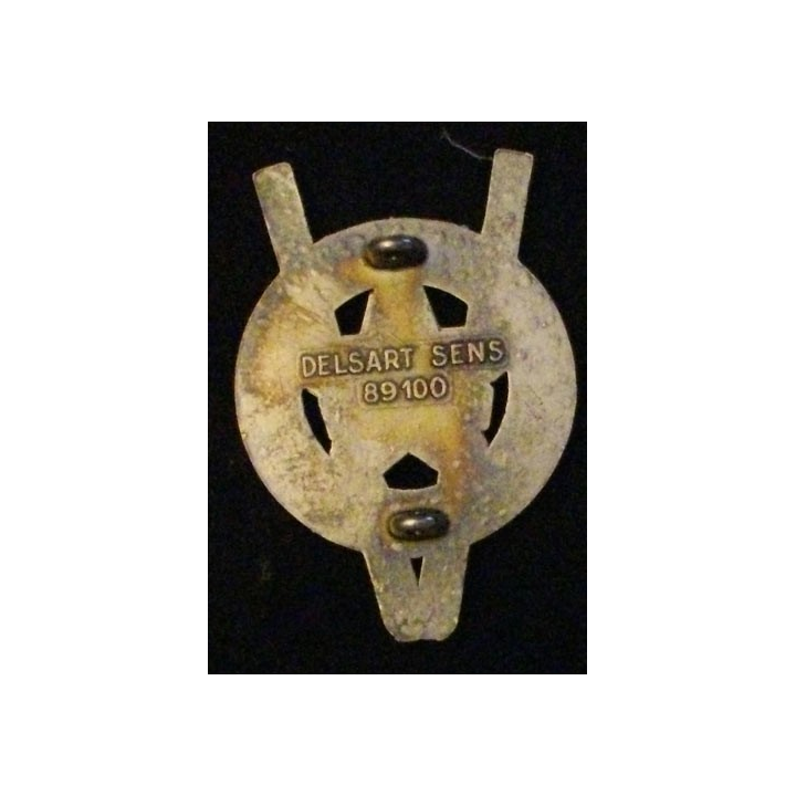 BREVET DE SKIEUR MILITAIRE TRANSLUCIDE