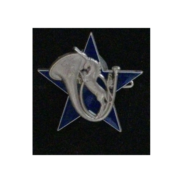 7°BCA : 7°BATAILLON DE CHASSEURS ALPINS LICORNE ÉTOILE (FIA)