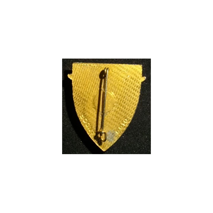 FFA : FORCES FRANÇAISES EN ALLEMAGNE (ARÉMAIL 6610) ÉMAIL