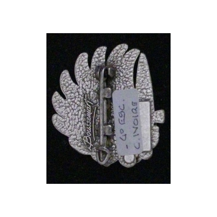 1° RHP : 1° RÉGIMENT DE HUSSARDS PARA 4° ESCADRON RCI 2006